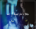 And I hoped for a trace to lead me back home from this place…” - the-originals fan art