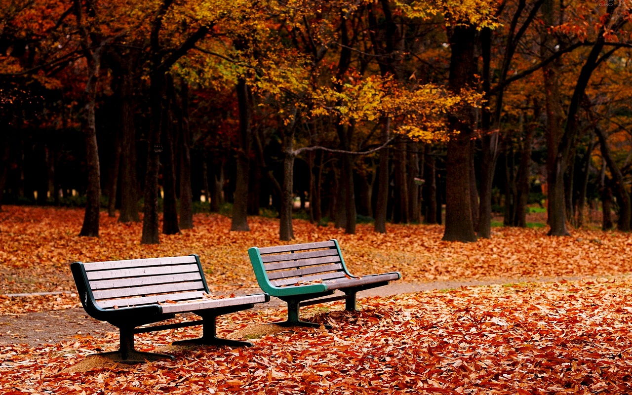秋を感じるおしゃれな壁紙まとめ Naver まとめ