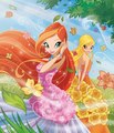 Bloom and Stella - the-winx-club photo