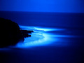 Blue Sea - random photo