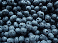 Blueberry - random photo