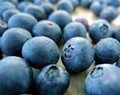 Blueberry - random photo