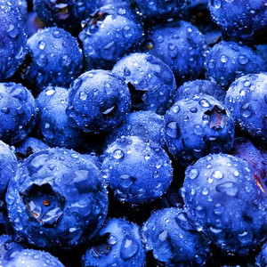 việt quất, blueberry