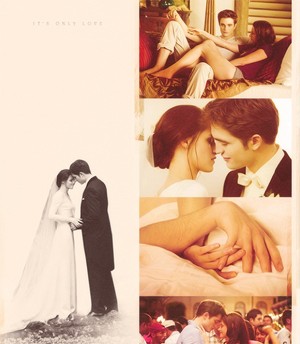 Edward & Bella's wedding 
