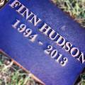 Finn Hudson 1994-2013 - glee photo