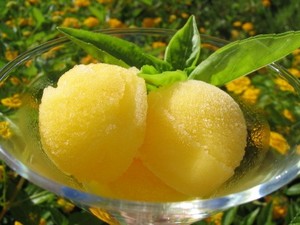  limon Sorbet