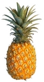 Pineapple - random photo