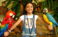 Taruni Sachdev (14 May 1998 – 14 May 2012)  - celebrities-who-died-young photo