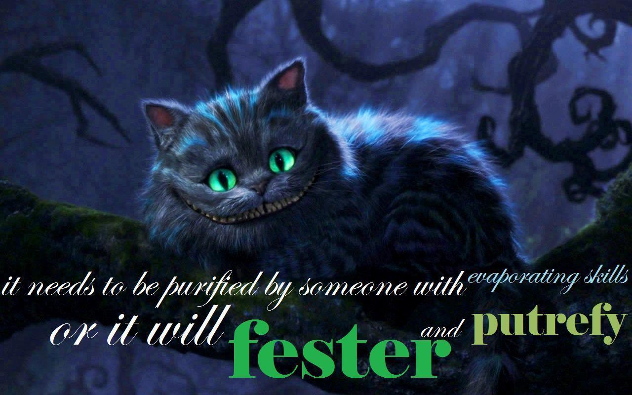 The Cheshire Cat The Cheshire Cat Wallpaper 35818492 Fanpop