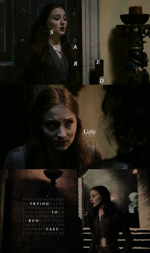  Sandor Clegane & Sansa Stark