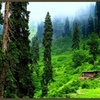the beauty of kaghan valley <333333