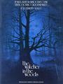 "The Watcher In The Woods" Movie Poster - disney photo