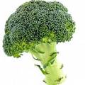 Broccoli  - random photo