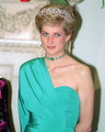 Diana - princess-diana photo