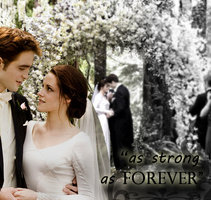  Edward & Bella' wedding