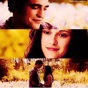  Edward and Bella in their meadow