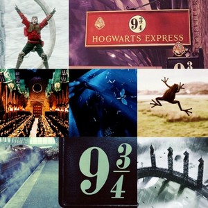  Hogwarts Collage