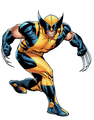 Marvel - Wolverine - random photo