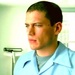 Michael Scofield-Pilot - fred-and-hermie icon
