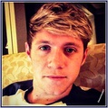 Niall 2013 - one-direction photo