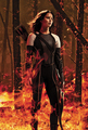 Official Promotional Photos - the-hunger-games photo