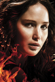 Official Promotional Photos - the-hunger-games photo