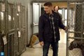 Supernatural - Episode 9.05 - Dog Dean Afternoon - Promotional Photos - supernatural photo