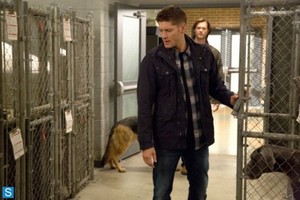 supernatural - Episode 9.05 - Dog Dean Afternoon - Promotional fotos