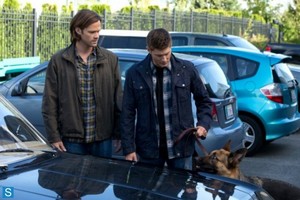  Supernatural - Episode 9.05 - Dog Dean Afternoon - Promotional تصاویر