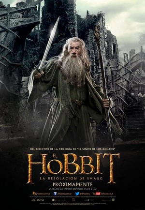  The Hobbit: The Desolation of Smaug Poster