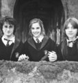 The "Trio" - harry-potter photo