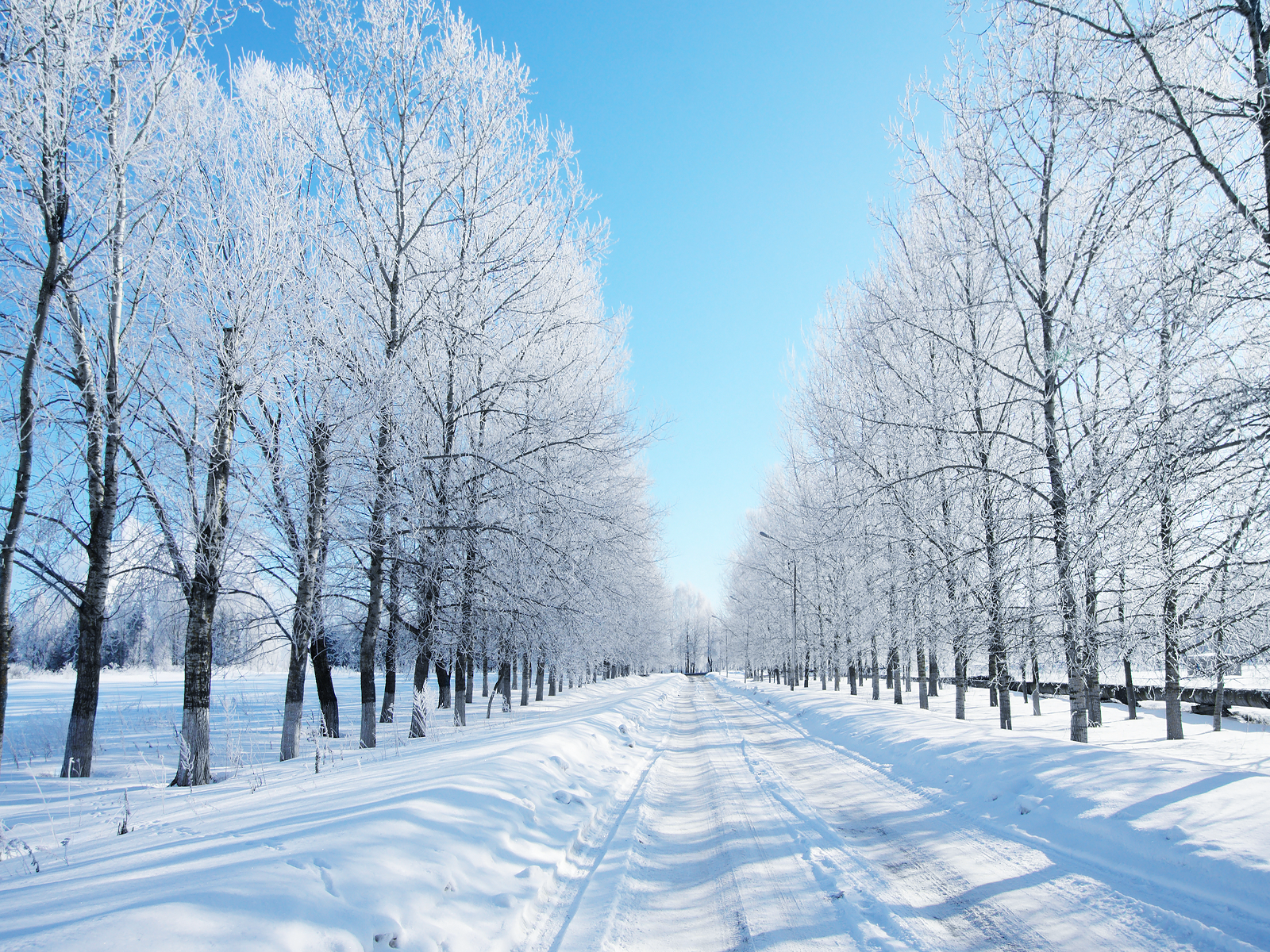 Winter Scenery - Random Photo (35926790) - Fanpop