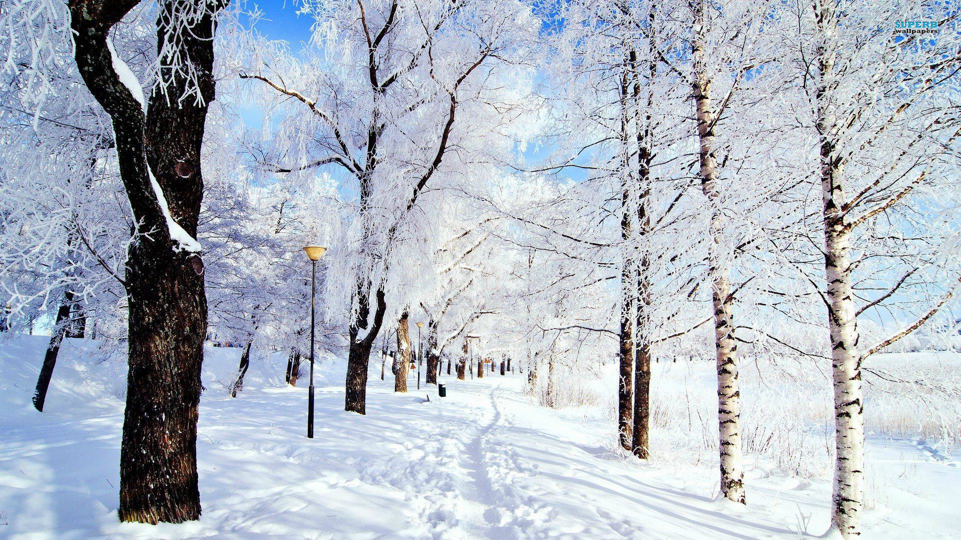 Winter Scenery - Random Photo (35926791) - Fanpop