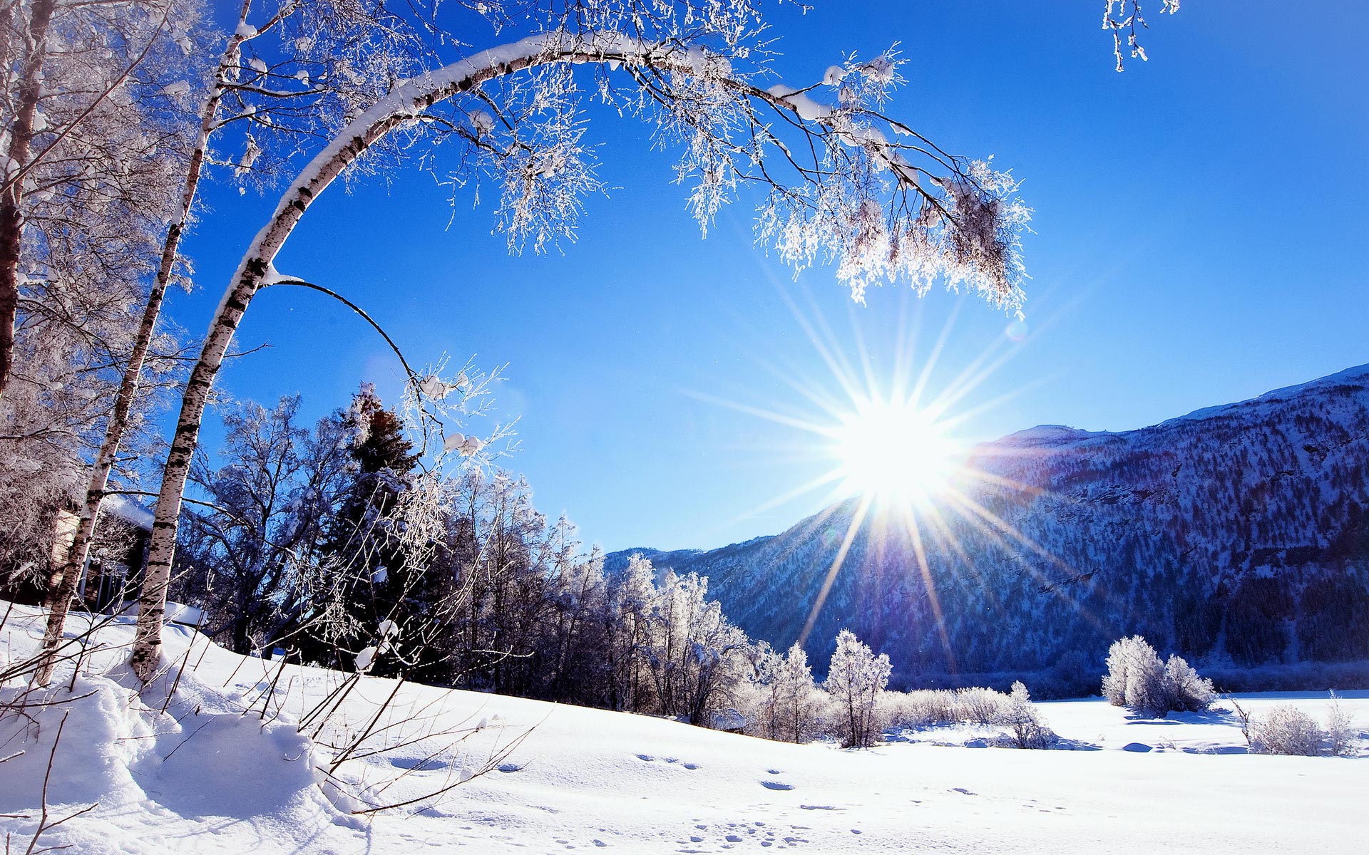 Winter Scenery - Random Photo (35926794) - Fanpop