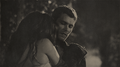 i need you to look after hayley - the-originals fan art