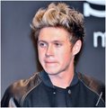  Niall Horan 2013 - one-direction photo