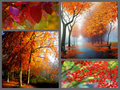 Colors of Autumn - autumn fan art