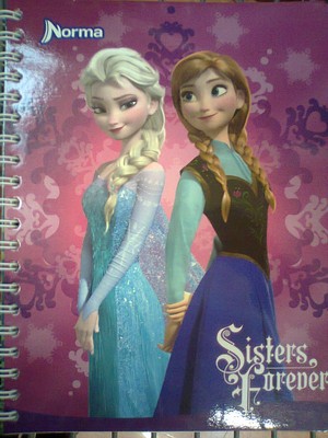  《冰雪奇缘》 Notebooks