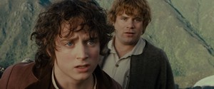  LOTR: Fellowship of the Ring