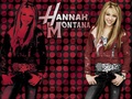 Hannah Montana  - hannah-montana photo