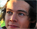 Harry Styles 2013 - one-direction photo