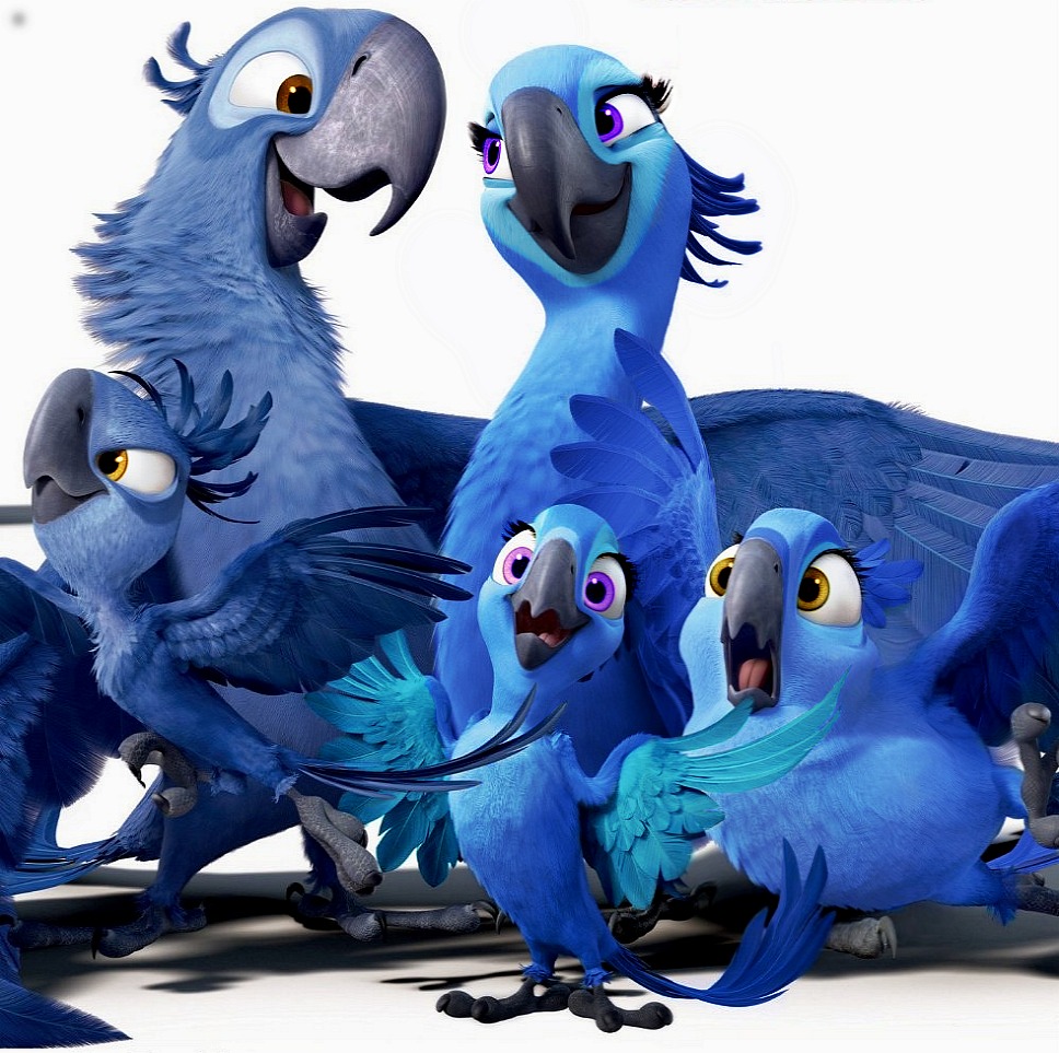 Blue birds' family - Rio - Have fun! Photo (36080087) - Fanpop