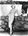 1953 Film, "Niagara" - marilyn-monroe photo
