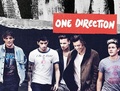 One Direction | Midnight Memories Cover - one-direction photo
