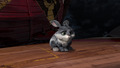 Rise of the Guardians - Easter Bunny / Bunnymund - random photo