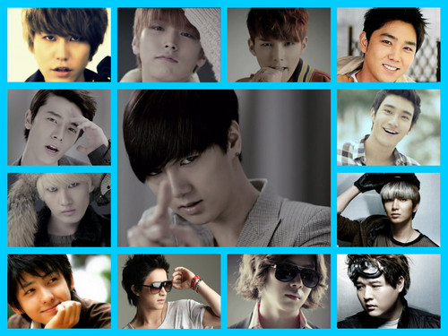 Super Junior images Super Junior Members color wallpaper photos 
