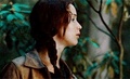 The Hunger Games ๑ - the-hunger-games photo