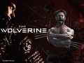 The Wolverine - wolverine fan art