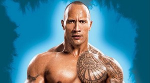  The rock