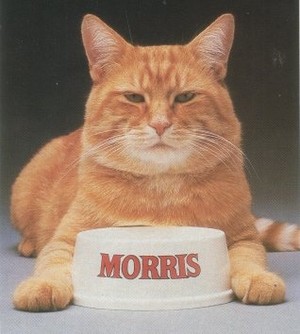  9 Lives Commerical Featuring Morris The Cat